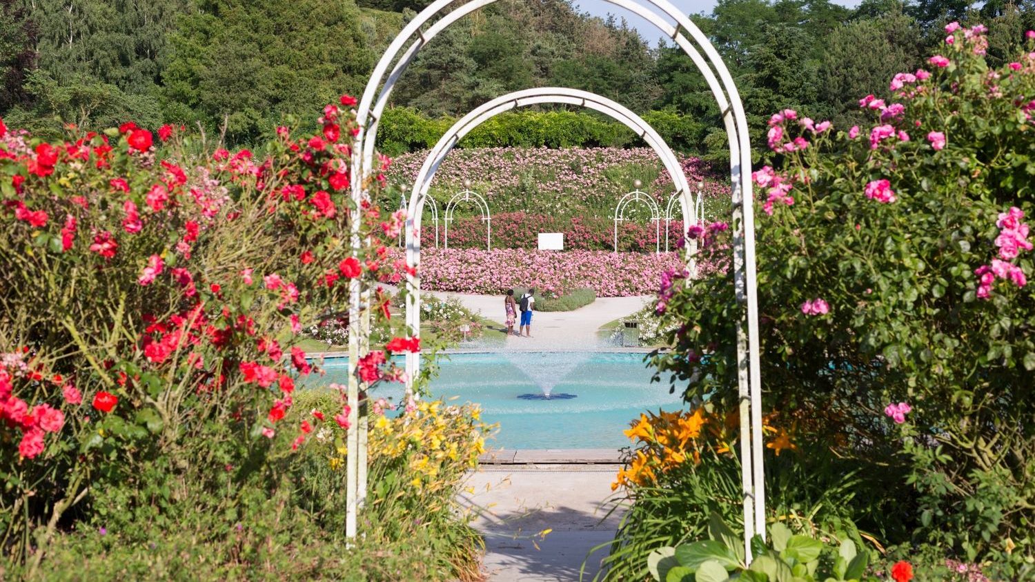 a-voir-a-faire-parcs-et-jardins-caen-colline-aux-oiseaux-juin-2017-caen-la-mer-tourisme-pauline-_-mehdi-photographie-30