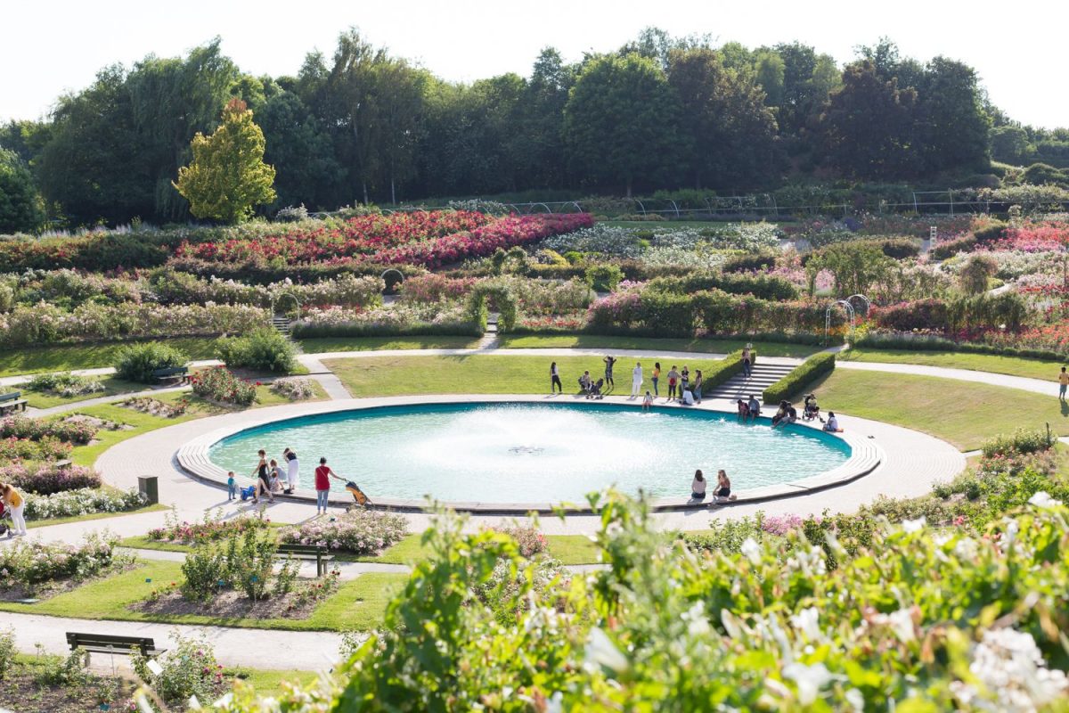 Coin d'eau et verdure à la Colline aux Oiseaux