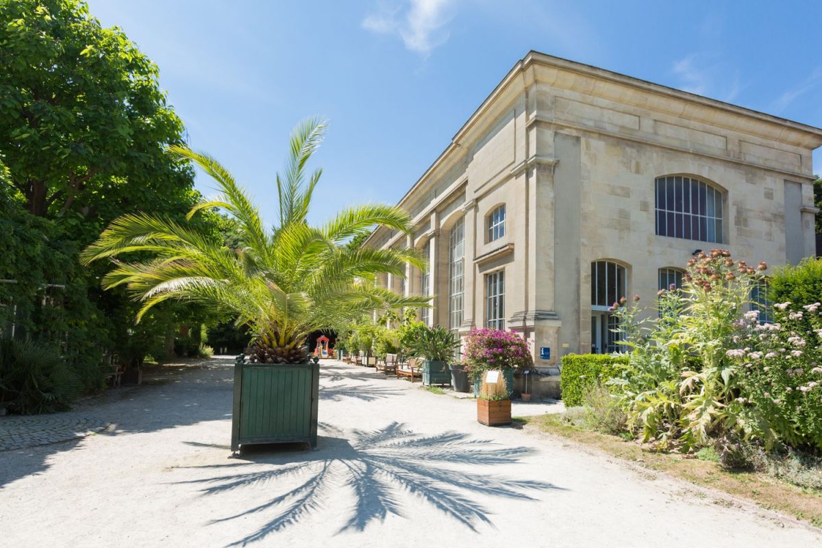 Jardin des plantes à Caen