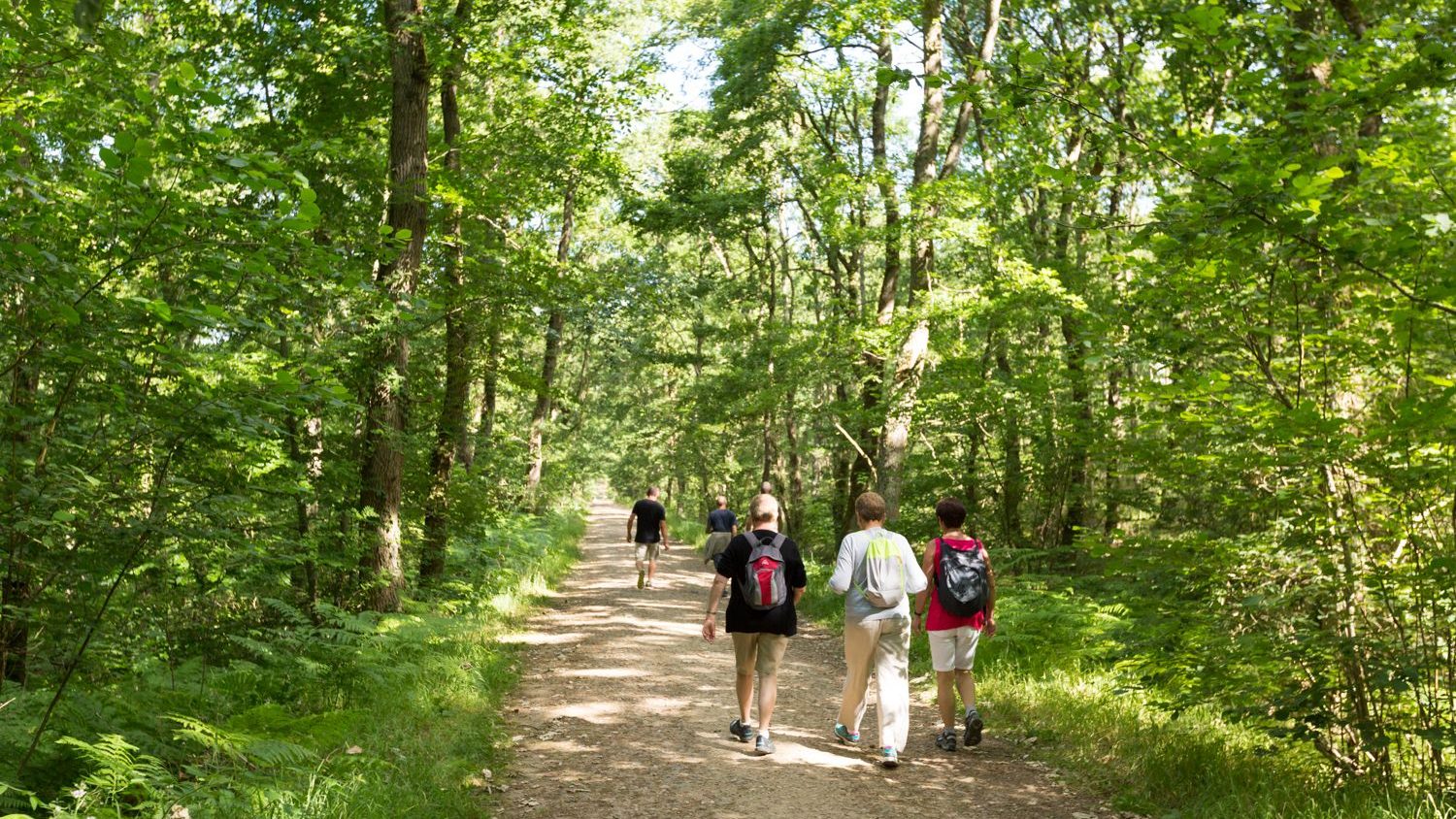 Activités Eco-responsables / R.S.E / solidaires