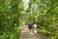 Activités Eco-responsables / R.S.E / solidaires