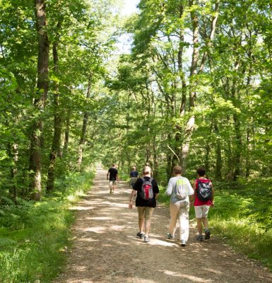 Activités Eco-responsables / R.S.E / solidaires