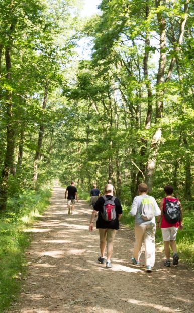 Activités Eco-responsables / R.S.E / solidaires