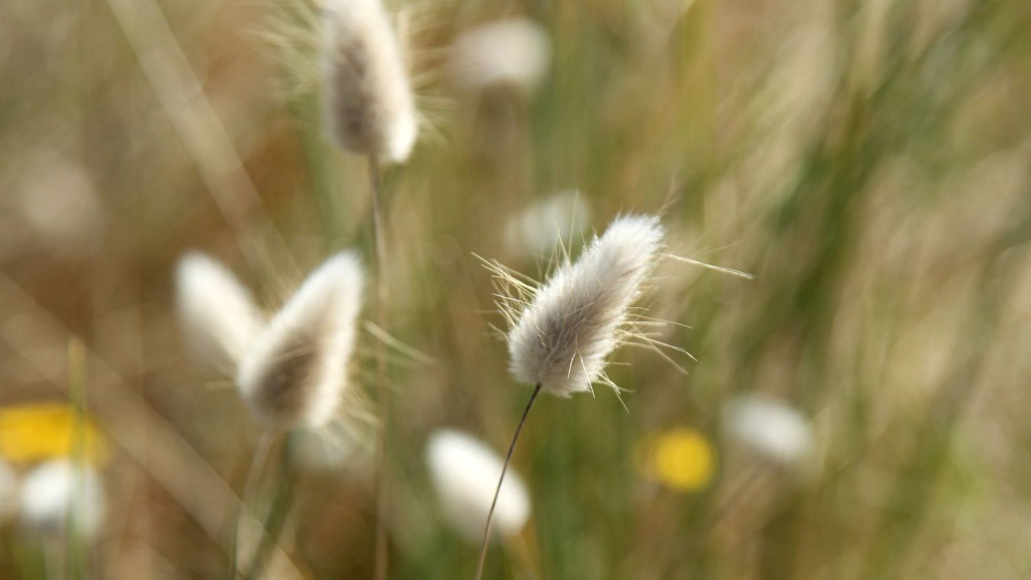 Escapade nature en Terre de Marais