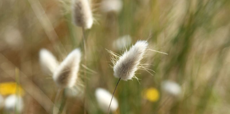 Escapade nature en Terre de Marais