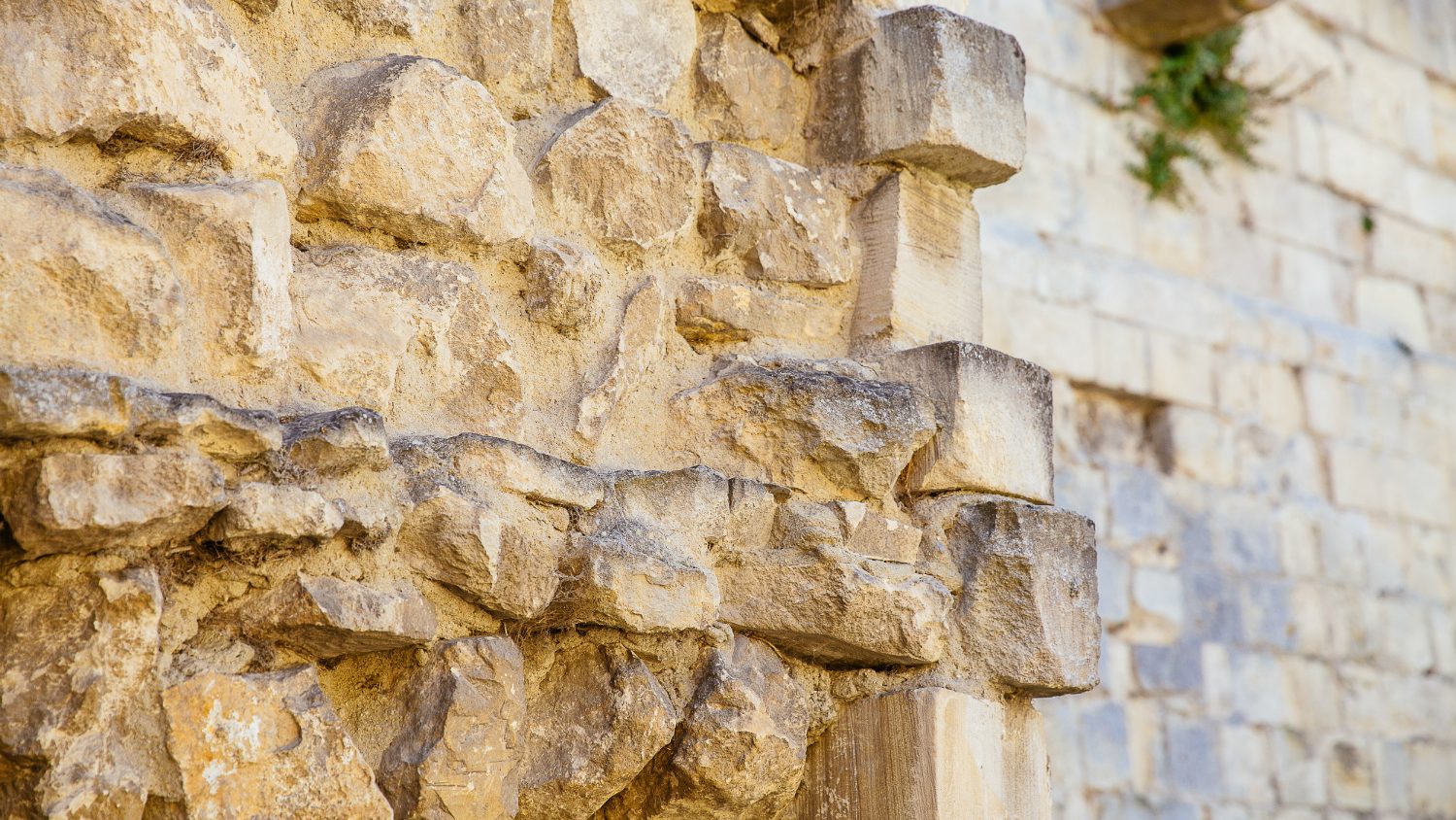 Visites thématiques