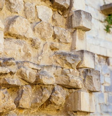 Visites thématiques