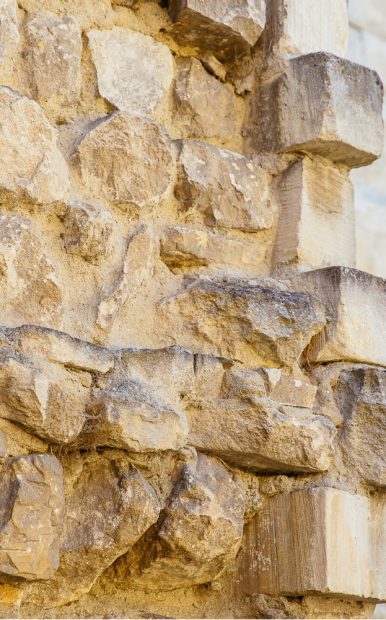 Visites thématiques