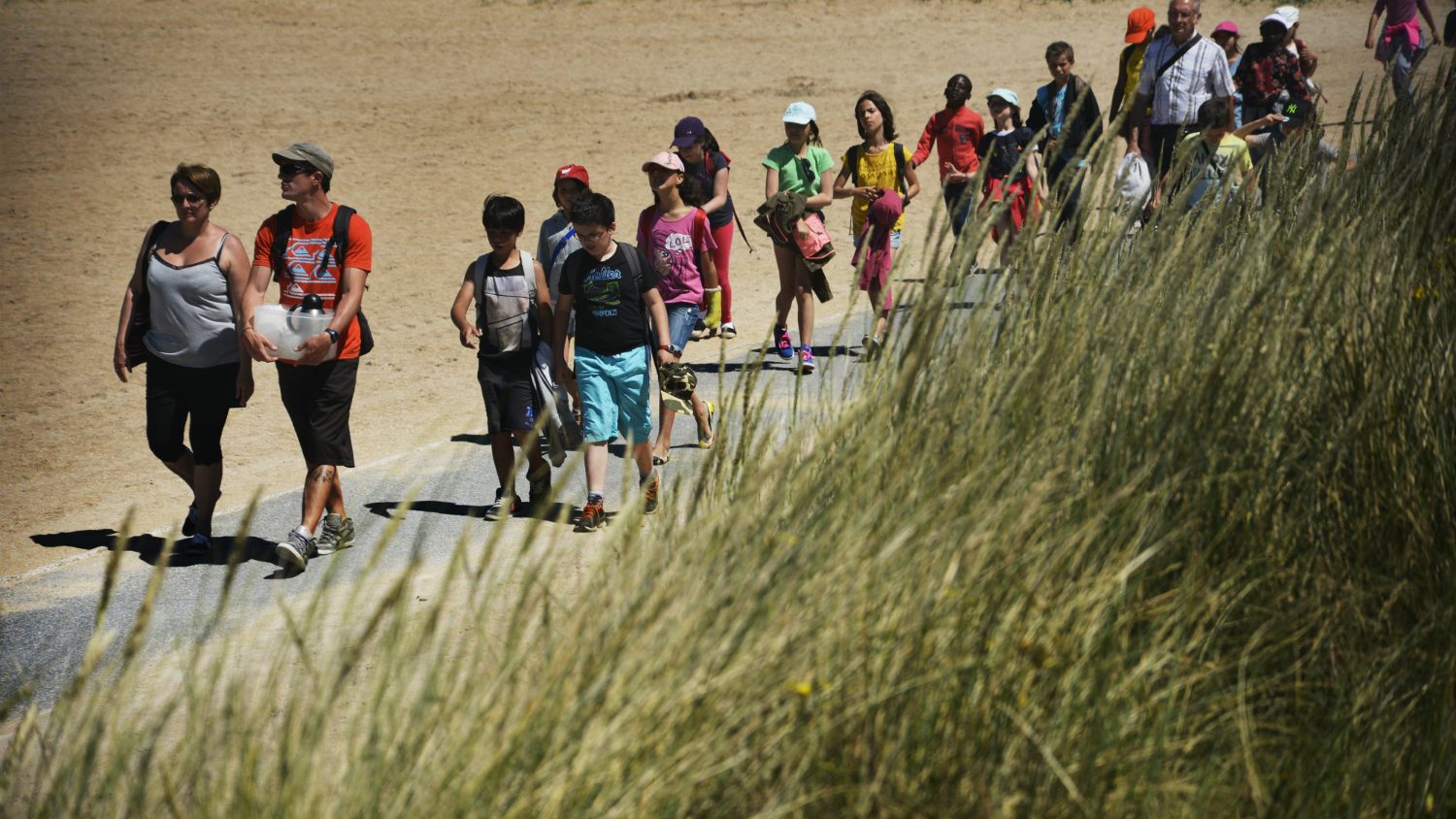 hébergements collectifs