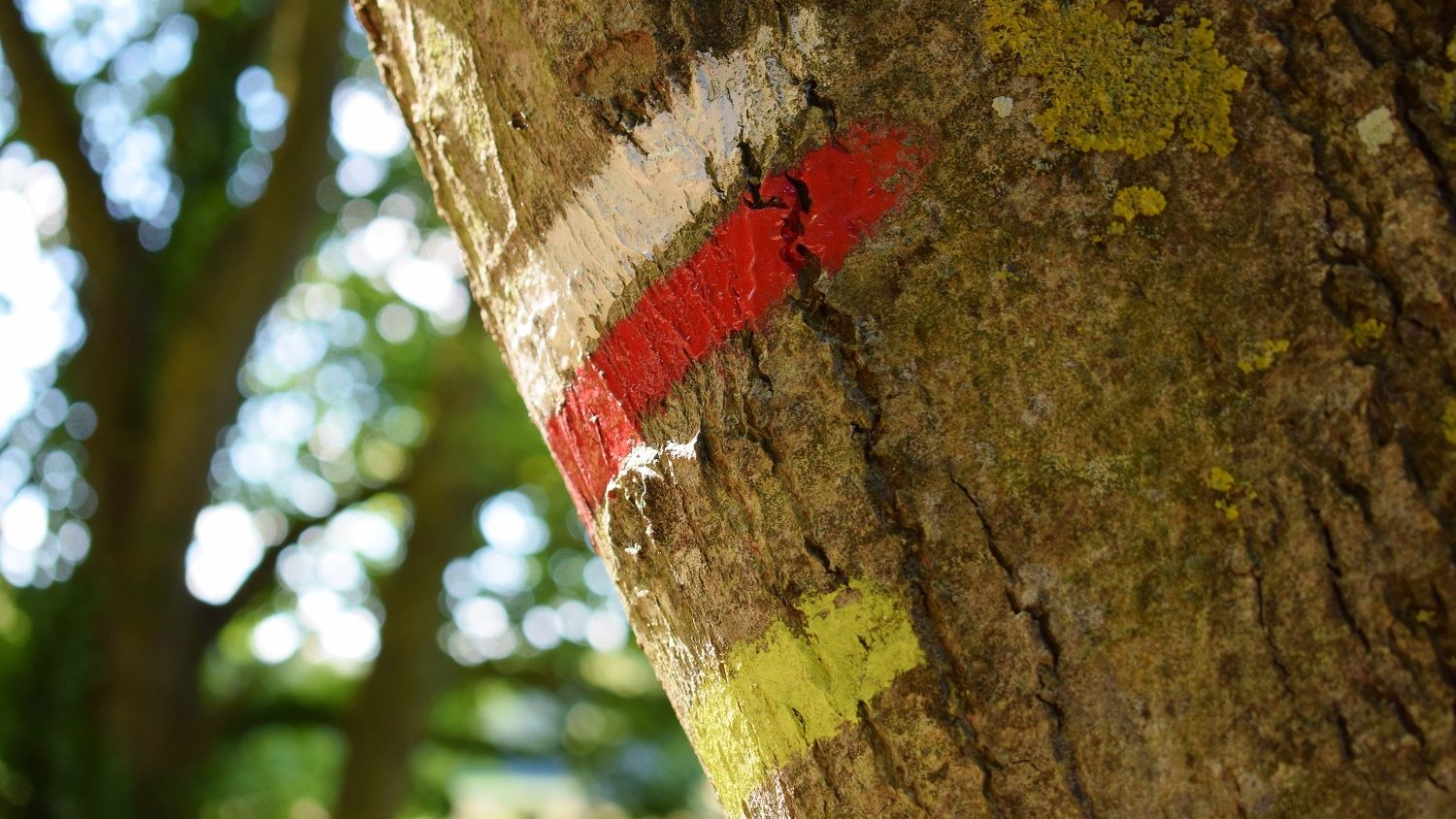 Balades et randonnées