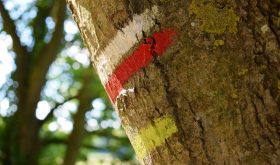 Balades et randonnées