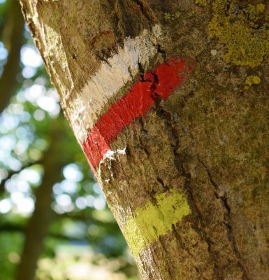 Balades et randonnées