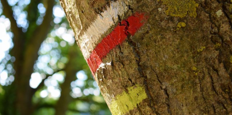 Balades et randonnées