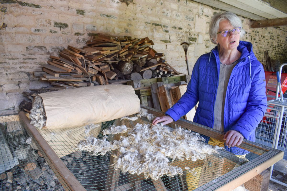 Visite à la ferme du Mohair du Marais