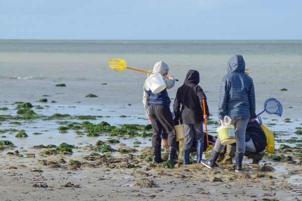 Sortie pêche à pied à Hermanville sur mer @Caen la mer Tourisme