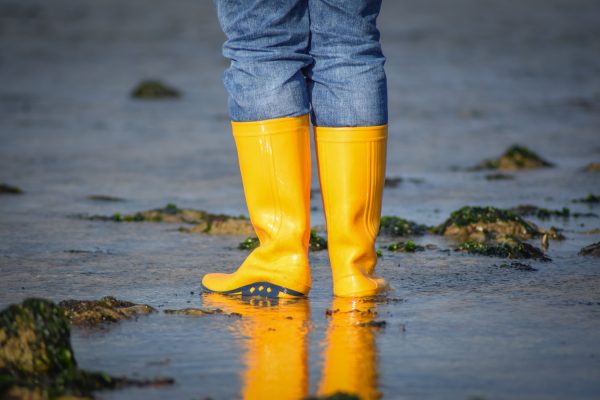 Sortie pêche à pied à Hermanville-sur-mer @Caen la mer Tourisme