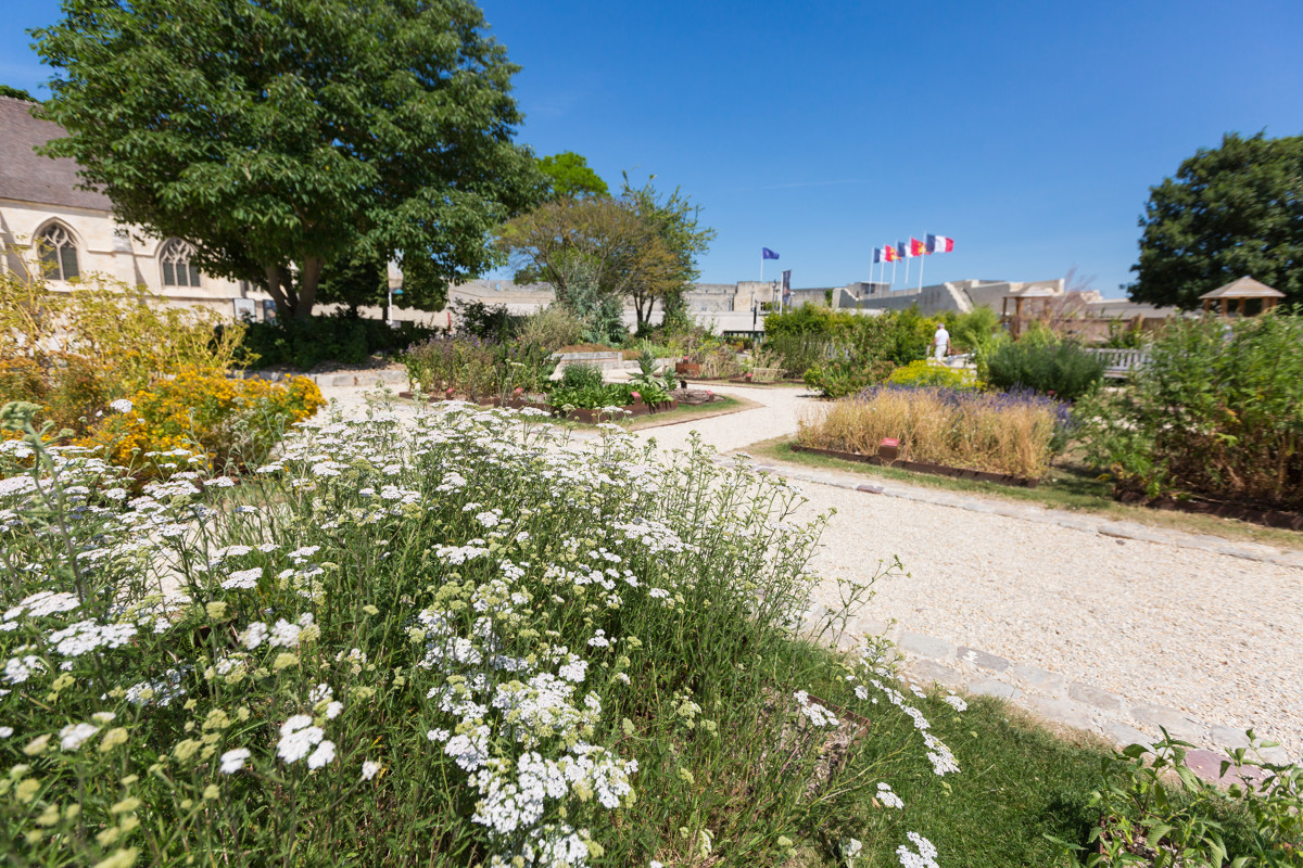 Jardin des Simples dans l'enceinte du Château de Caen