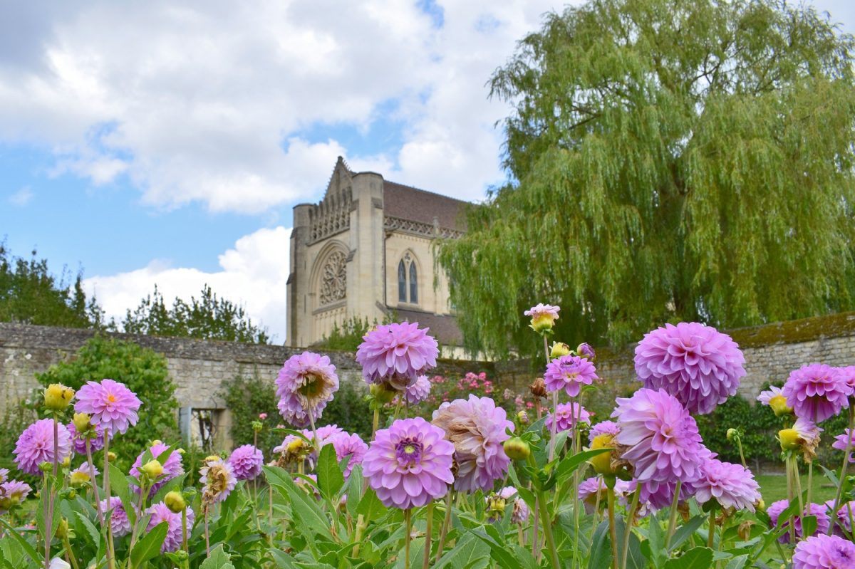Abbaye d'Ardenne - IMEC depuis les jardins