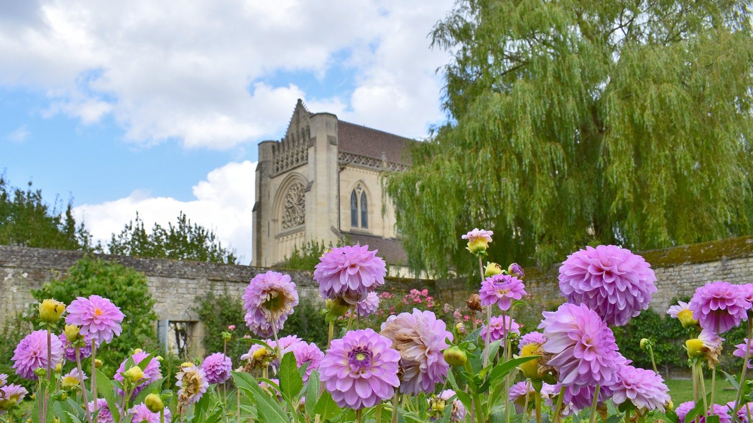L’Abbaye d’Ardenne, un trésor caché
