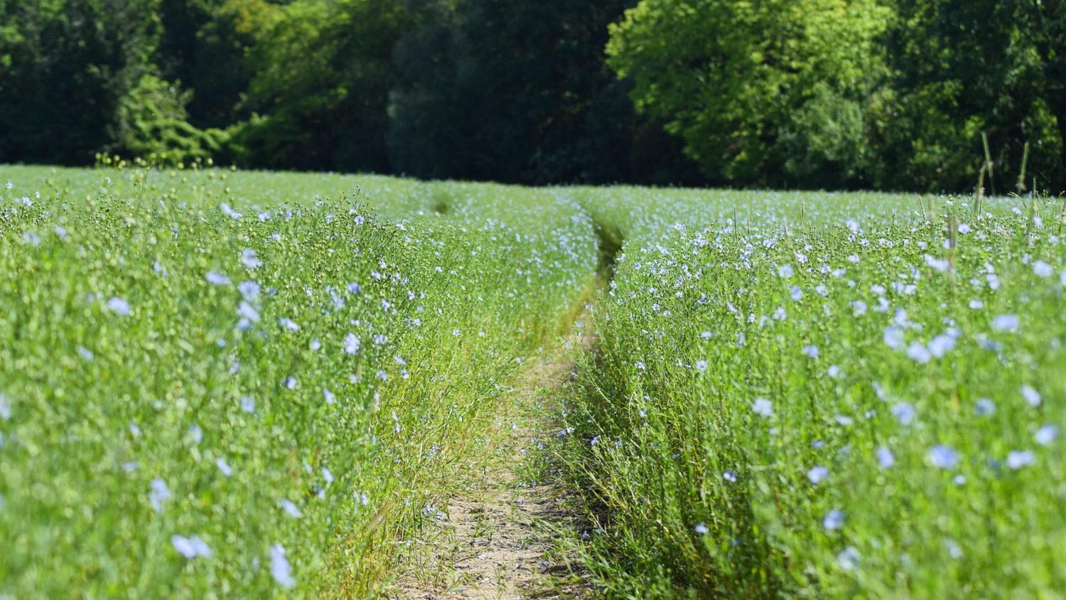 Visites d’entreprises et fermes