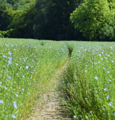 Visites d’entreprises et fermes