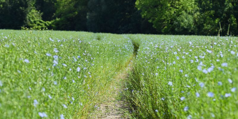 Visites d’entreprises et fermes