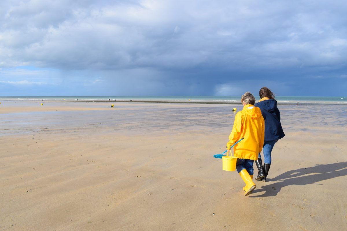 Sortie pêche à pied