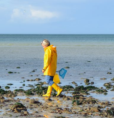Sortie pêche à pied