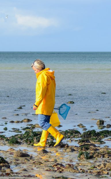 Sortie pêche à pied