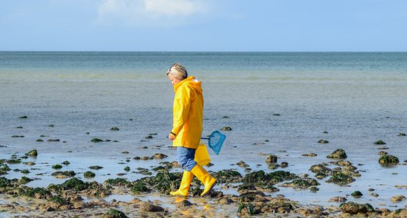 Sortie pêche à pied