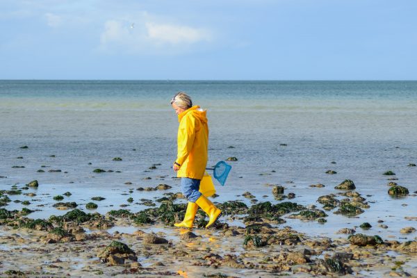 Sortie pêche à pied