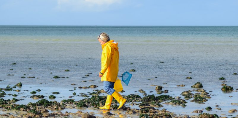 Sortie pêche à pied