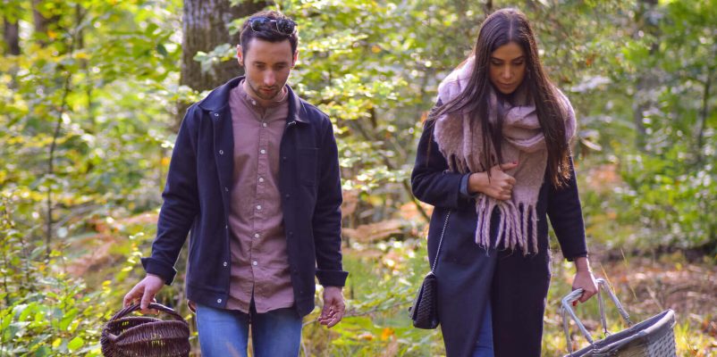 Cueillir des champignons en forêt