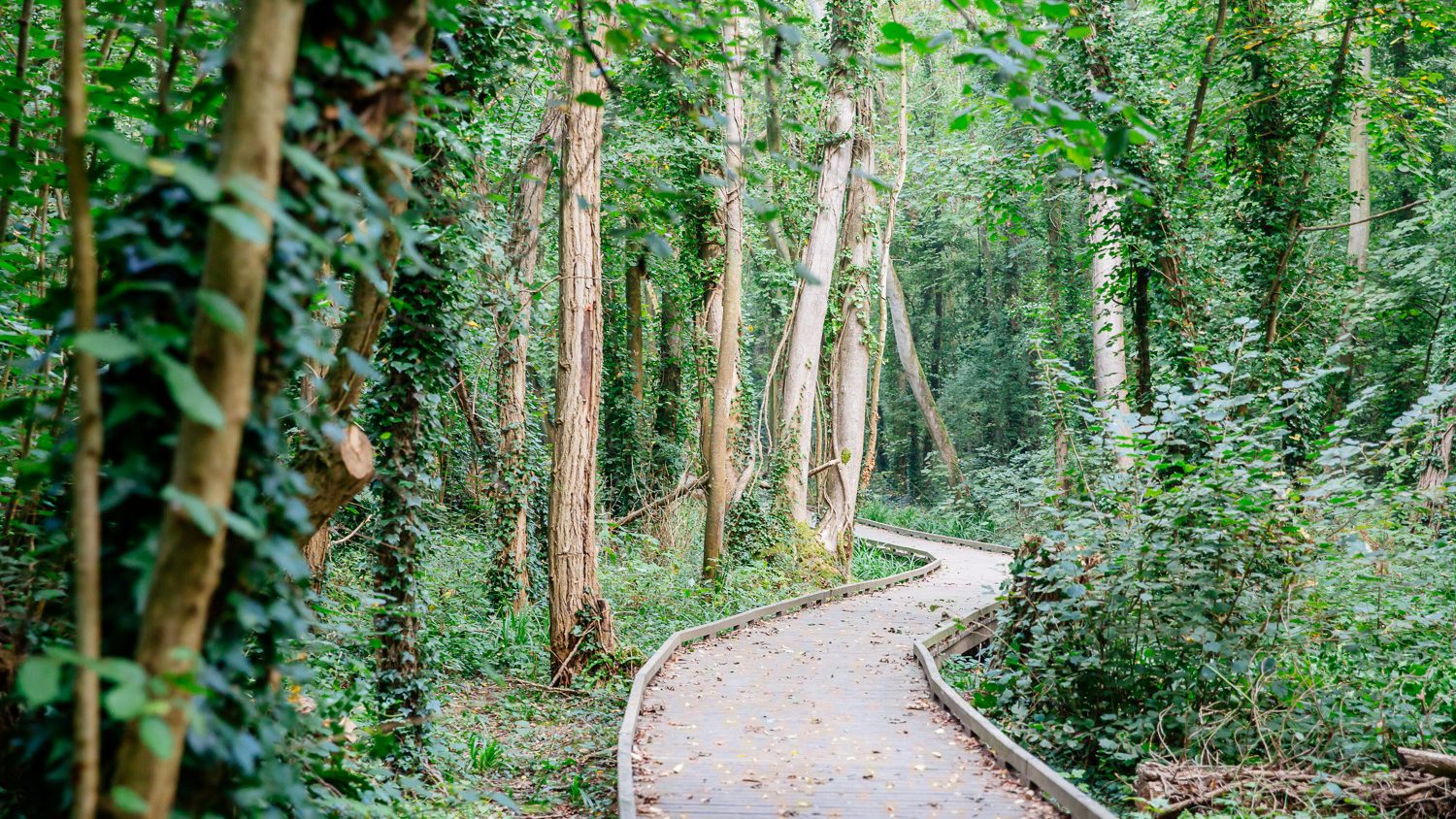 Randonnées pédestres pour les groupes en Normandie