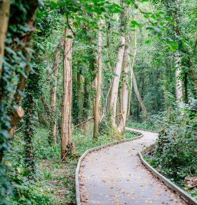 Randonnées pédestres pour les groupes en Normandie