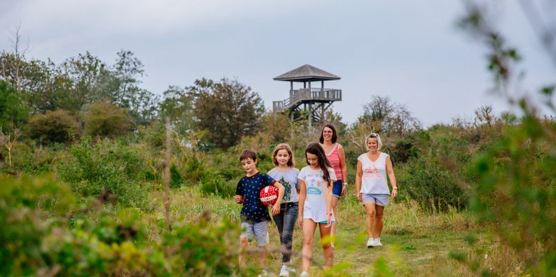 Promenade nature à la Pointe du Siège dans l’Estuaire de l’Orne
