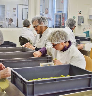 Découverte de la chocolaterie Gourm’handi’ses
