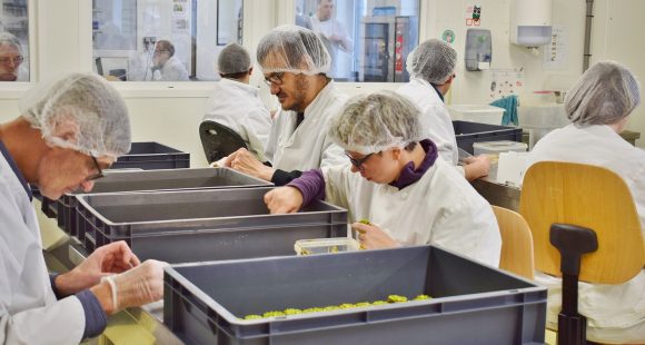 Découverte de la chocolaterie Gourm’handi’ses