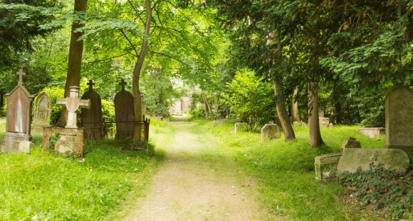 Parenthèse bucolique dans les cimetières dormants de Caen