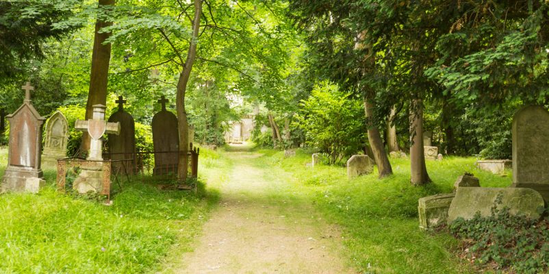 Parenthèse bucolique dans les cimetières dormants de Caen