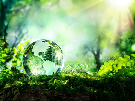 séminaire eco responsable