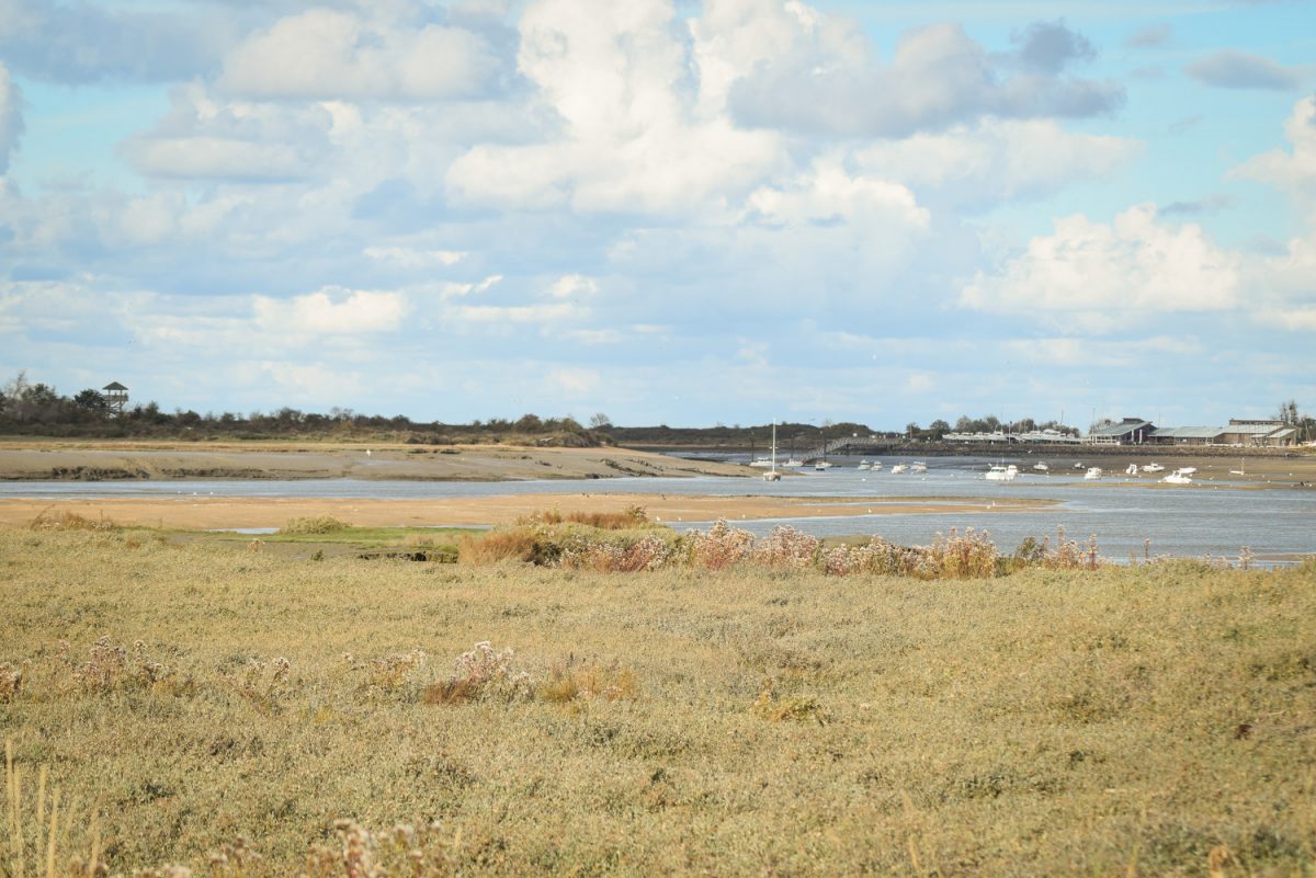  l'Estuaire de l'Orne
