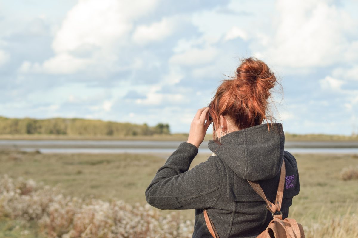 Observer les phoques dans l'Estuaire de l'Orne