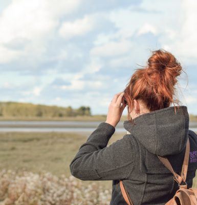 Observer les phoques dans l’Estuaire de l’Orne