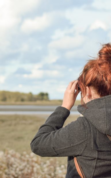 Observer les phoques dans l’Estuaire de l’Orne