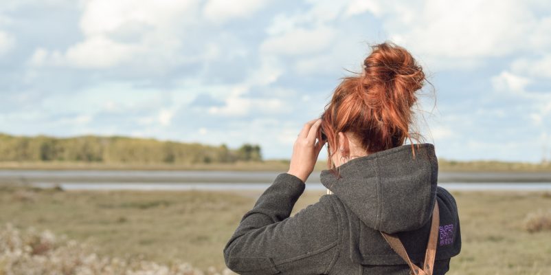 Observer les phoques dans l’Estuaire de l’Orne