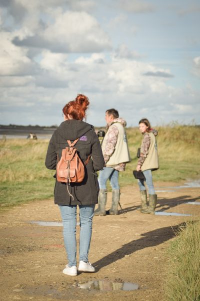 Observer les phoques dans l'Estuaire de l'Orne