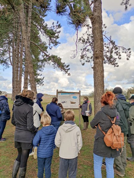 Sortie avec le groupe mammalogique normand à la rencontre des phoques