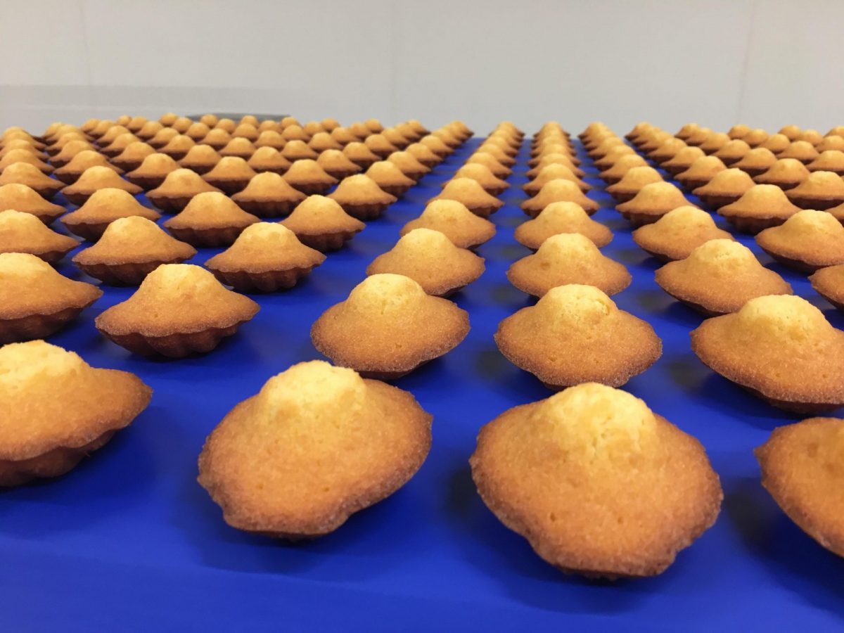 Madeleines Jeannette