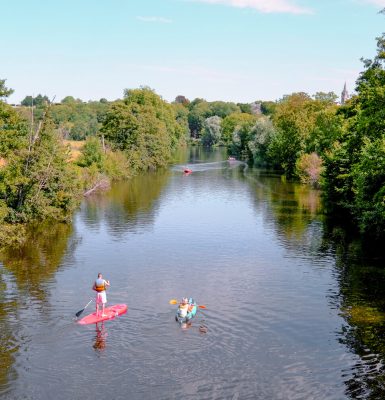 Le service adhérent